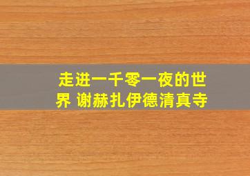 走进一千零一夜的世界 谢赫扎伊德清真寺